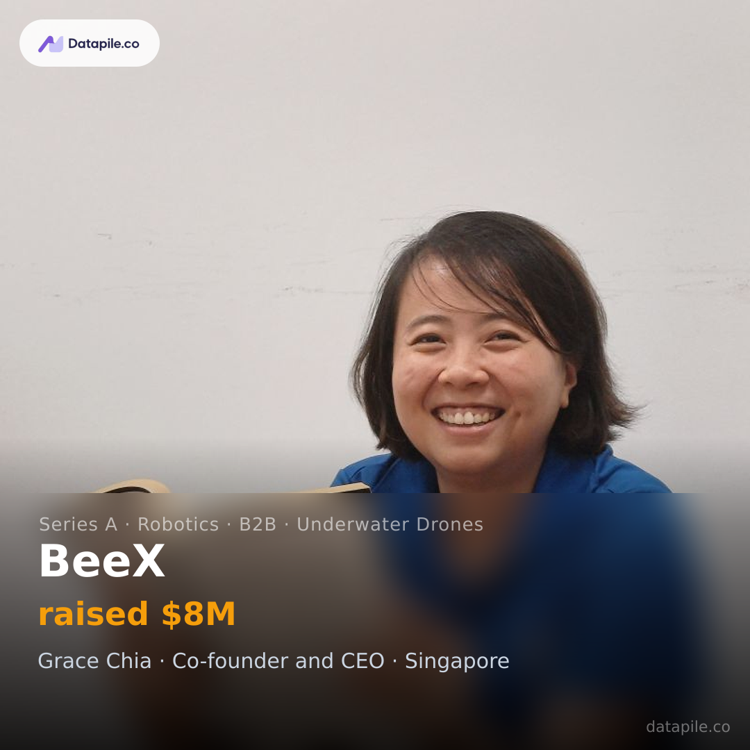 BeeX social card