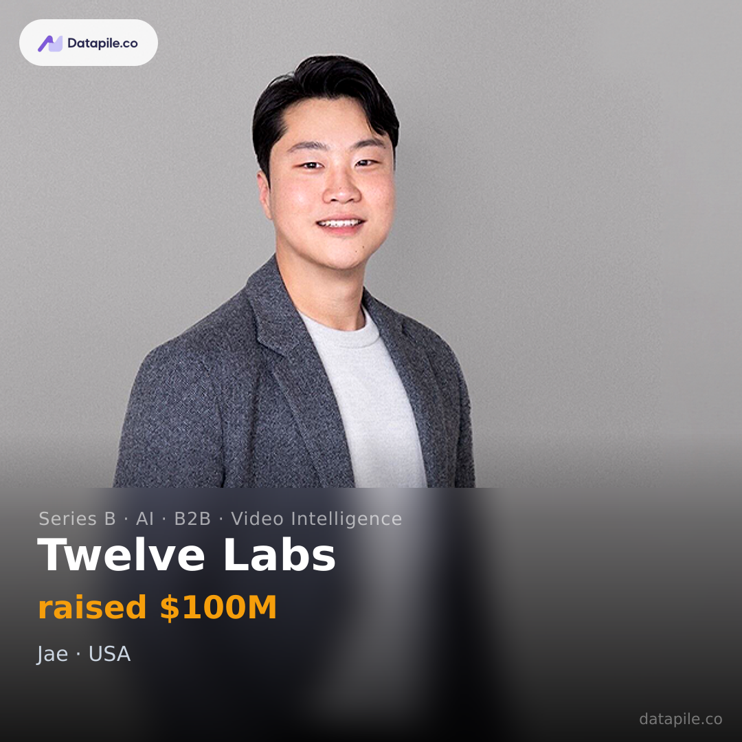 Twelve Labs social card